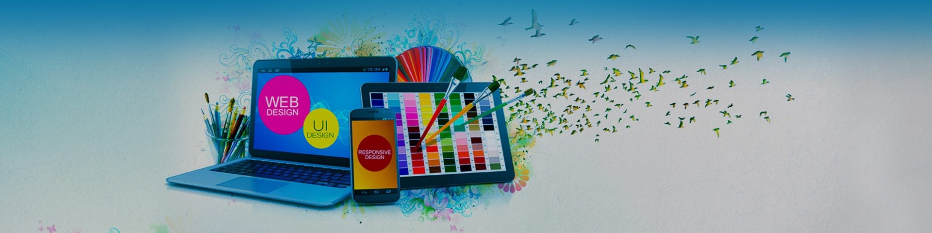Web Design & Development
