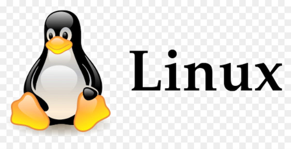 Custom Software Development