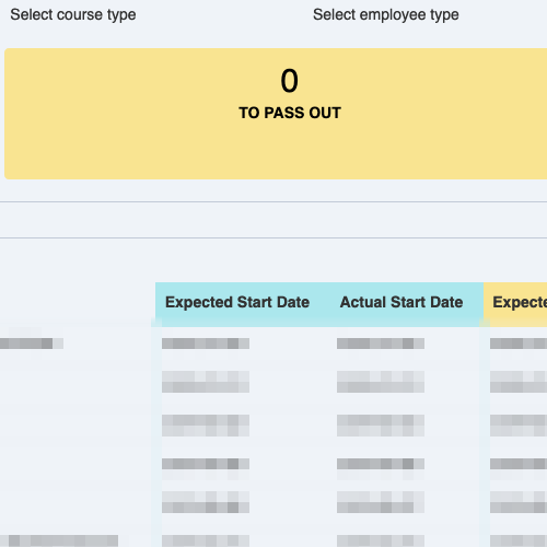 Custom Software Development
